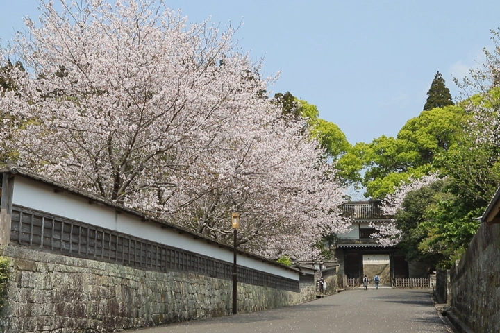 日南の文化遺産01