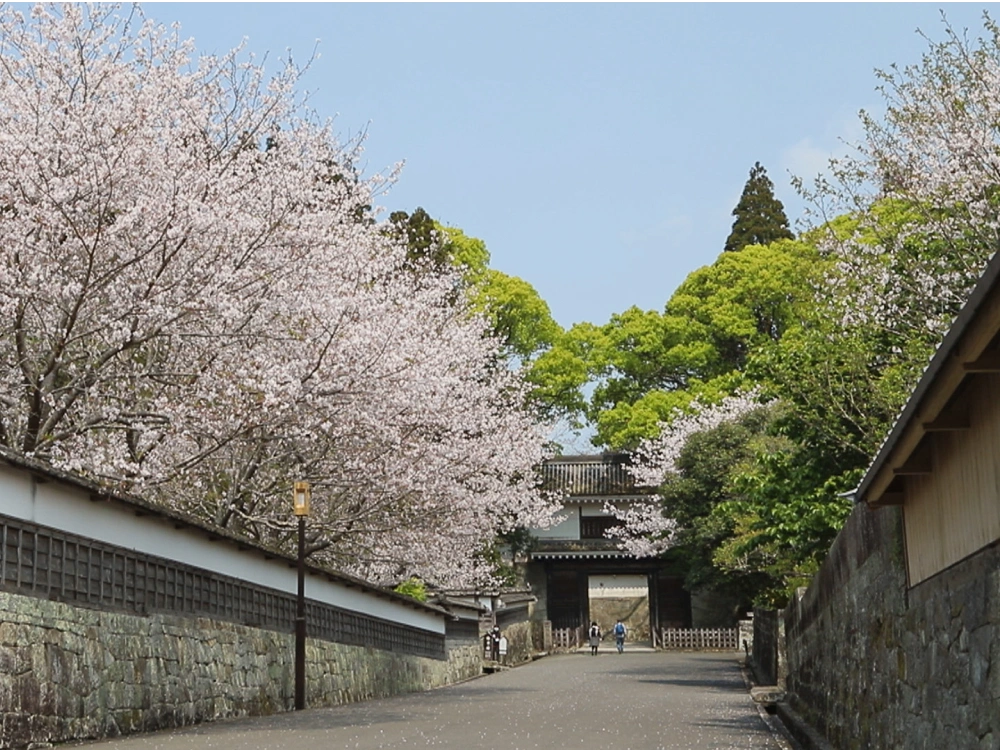 ”トップ画像”